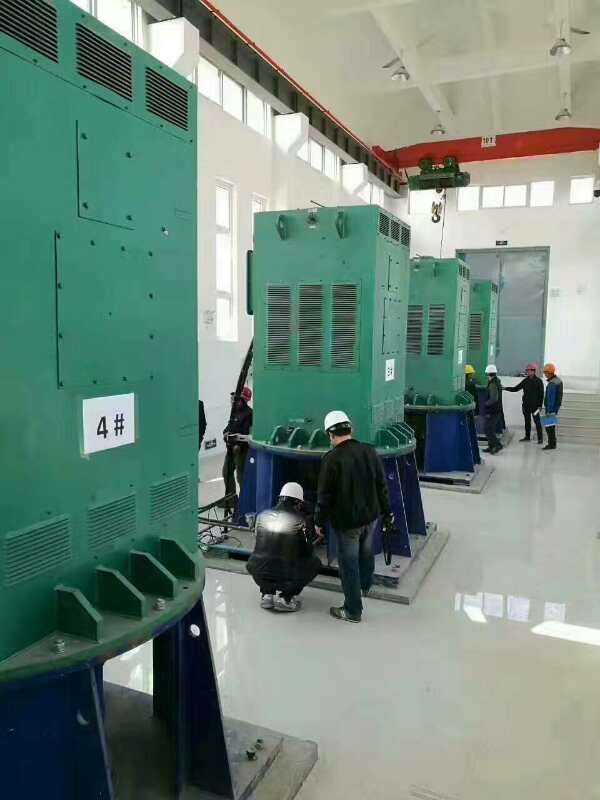 长坡镇某污水处理厂使用我厂的立式高压电机安装现场